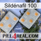 Sildénafil 100 25